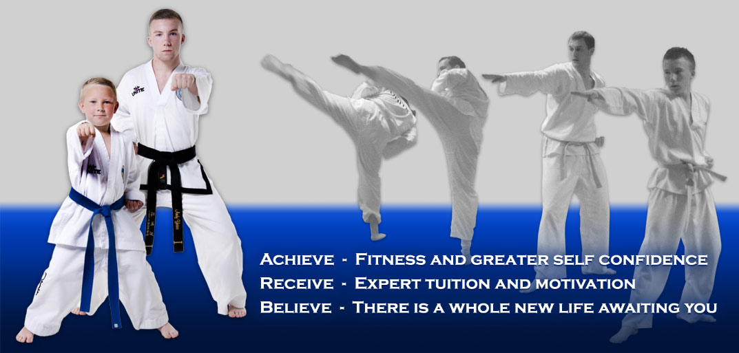 tae kwon do lessons for kids